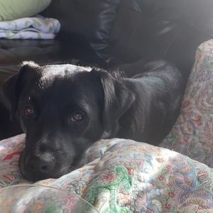 Meet your Posher, Camille